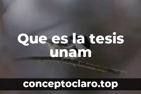 Que es la tesis unam