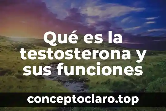 Qué es la testosterona y sus funciones