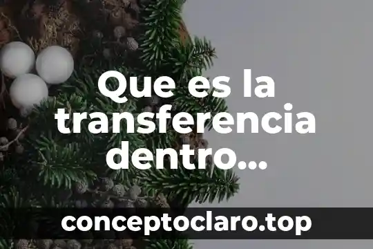 Que es la transferencia dentro psicologia