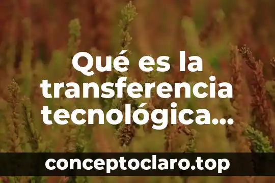 Qué es la transferencia tecnológica internacional