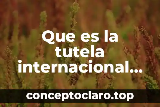 Que es la guerra mundial de los estados unidos 8 Que es la tutela internacional en la primera guerra mundial