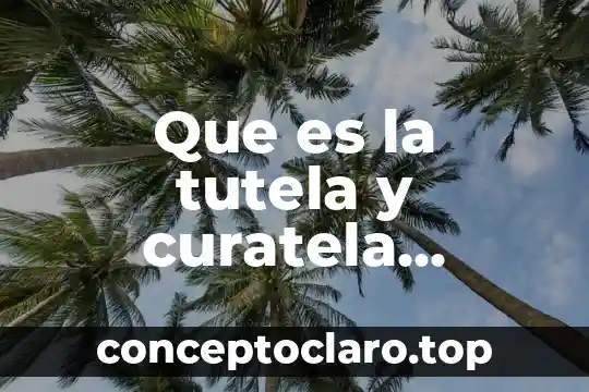 Que es una naturaleza polimerica significado 5 Que es la tutela y curatela significado