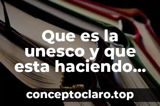Qué es el silogismo como está compuesto y formado 7 Que es la unesco y que esta haciendo los alimentos