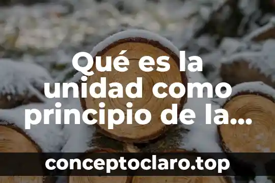 Que es planeación de los procesos 4 Qué es la unidad como principio de la planeación