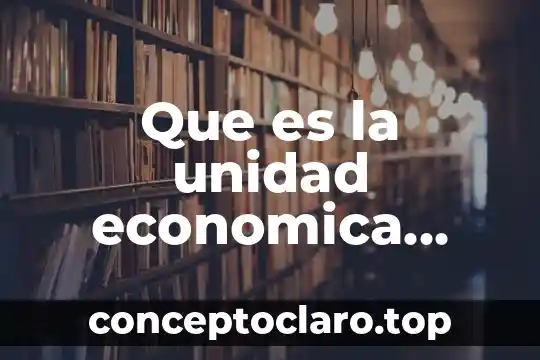 Que es la unidad economica para un proyecto