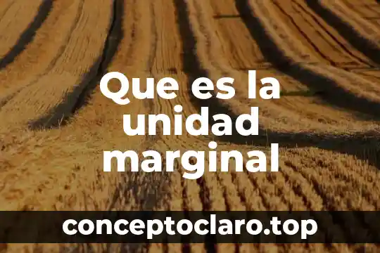 Que es la unidad marginal