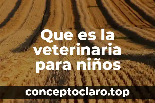 Que es calambur para niños 6 Que es la veterinaria para niños