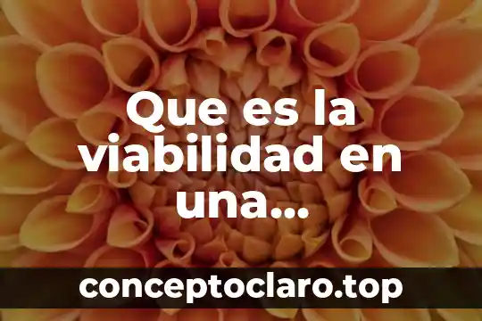 Que es la viabilidad en una investigacion cuantitativa