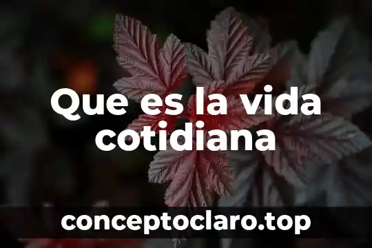 Que es la vida modernismo 5 Que es la vida cotidiana