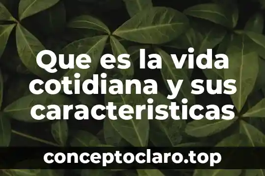 Que es la vida cotidiana y sus caracteristicas