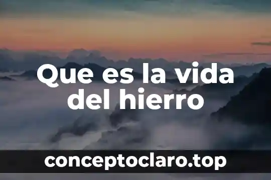 Que es la vida del hierro