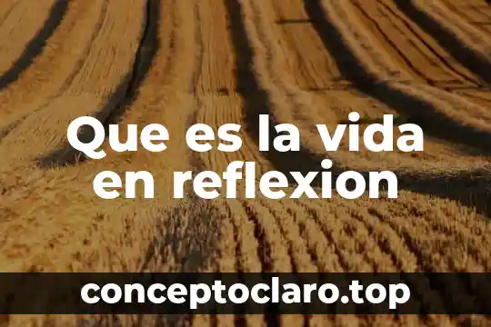 Que es la vida en reflexion