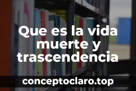 Que es de la vida de sean penn 5 Que es la vida muerte y trascendencia