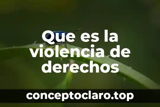 Que es la violencia de derechos
