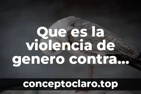 Que es la violencia de genero contra las mujeres