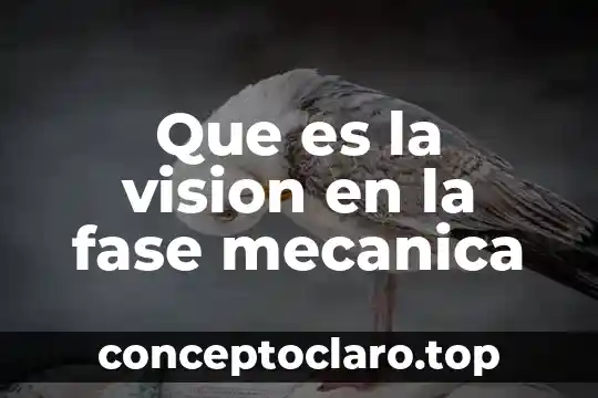 Que es la vision en la fase mecanica