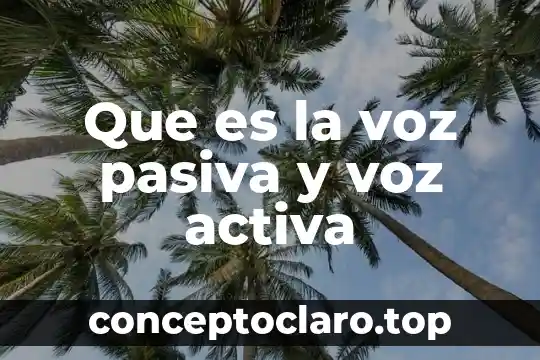 Qué es servicio de voz y datos 3 Que es la voz pasiva y voz activa