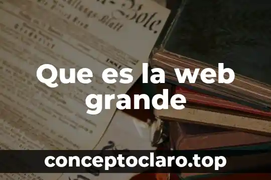 Que es la web grande