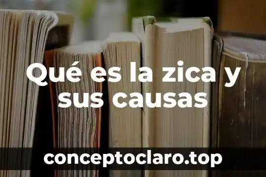 Que es significa causas 7 Qué es la zica y sus causas