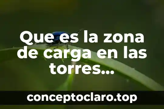 Que es la zona de carga en las torres empacadas