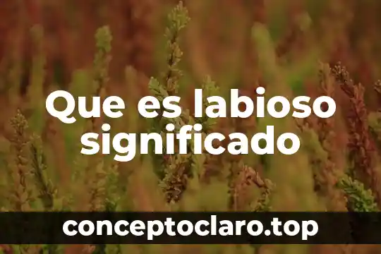 Que es labioso significado