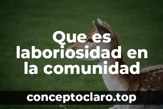 Que es el nombre que pone la comunidad científica 7 Que es laboriosidad en la comunidad