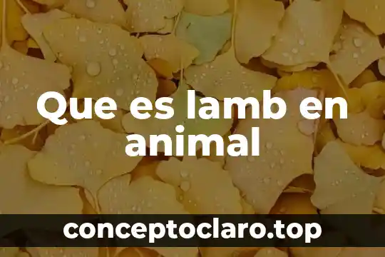 Que es la conducta animal yahoo 3 Que es lamb en animal