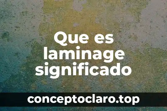 Qué es masivamente significado 5 Que es laminage significado