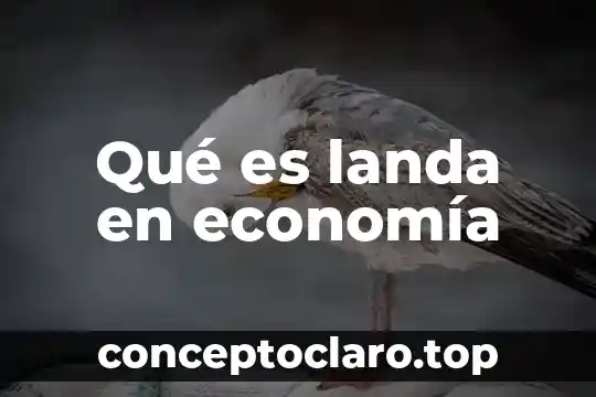 Que es economia en logistica 6 Qué es landa en economía