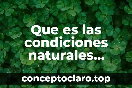 Que es la experimentacion en ciencias naturales 7 Que es las condiciones naturales socioeconomicas y calidad de vida