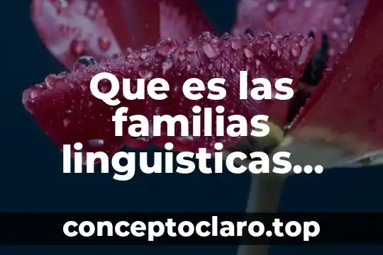 Que es la connotación con ejemplos 4 Que es las familias linguisticas ejemplos