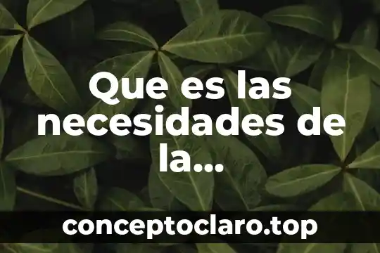 Que es las necesidades de la investigacion