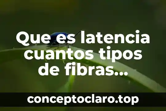Que es latencia cuantos tipos de fibras musculares hay