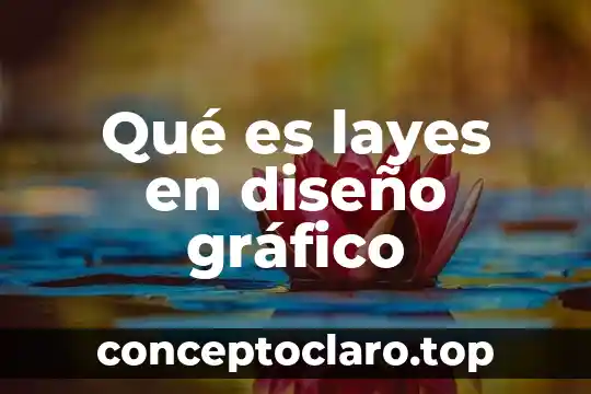 Que es un esquema grafico sintetizado de biabetes 6 Qué es layes en diseño gráfico