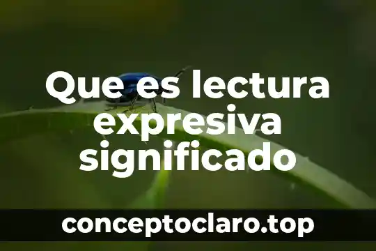 Que es el significado del nombre angelica 3 Que es lectura expresiva significado