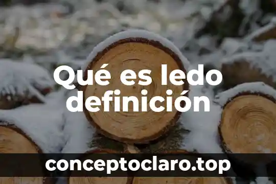 Qué es unilateralmente definición 7 Qué es ledo definición