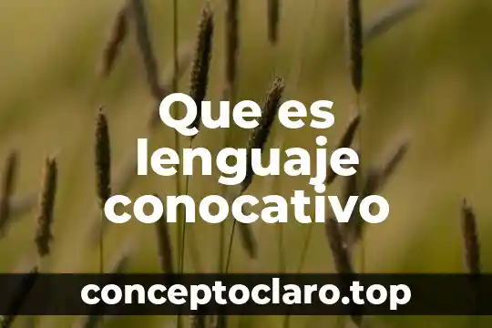 Que es lenguaje conocativo