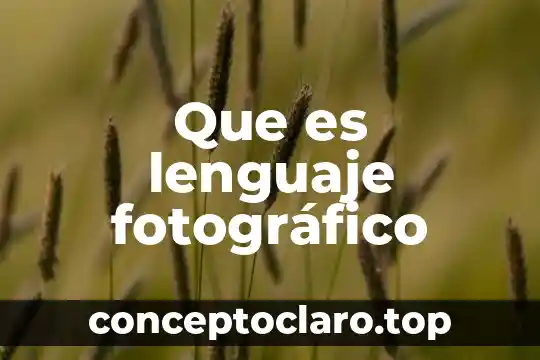 Que es lenguaje fotográfico