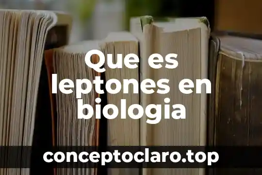 Qué es memoria biología 6 Que es leptones en biologia