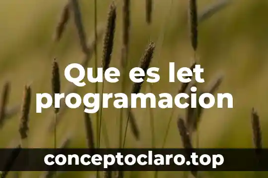 Que es let programacion