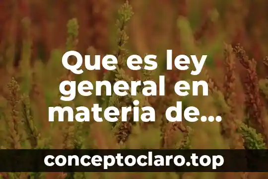 Que es ley general en materia de delitos electorales