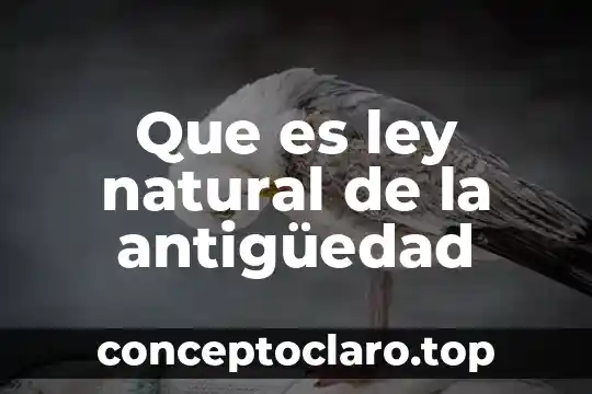 Que es ley natural de la antigüedad