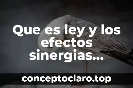 Que es ley y los efectos sinergias positivo que tiene