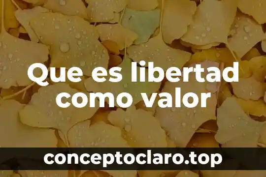 Que es libertad como valor