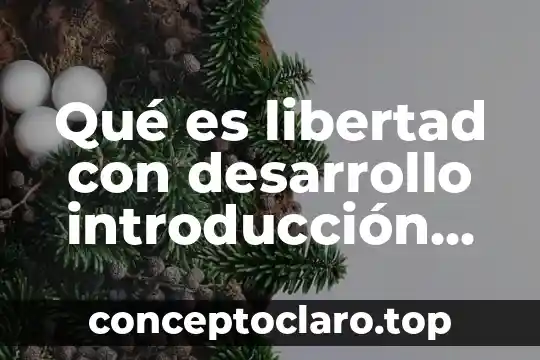 Qué es libertad con desarrollo introducción conclusión