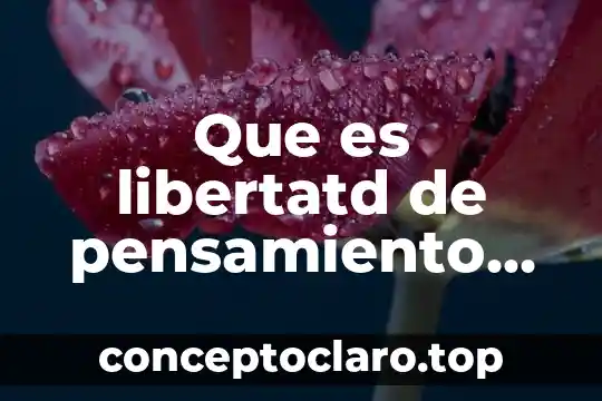 Que es libertatd de pensamiento religion y cultura