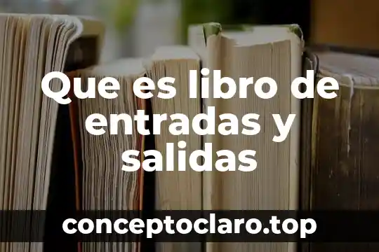 Qué es un amplificador dos salidas 5 Que es libro de entradas y salidas