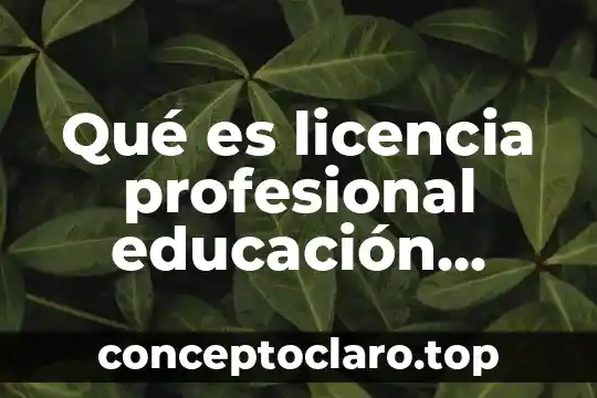 Educación por competencia que es 4 Qué es licencia profesional educación México