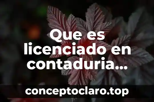 Que es licenciado en contaduria publica y finanzas publicas