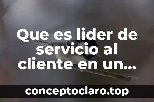 Que es servicio plus 5 Que es lider de servicio al cliente en un trabajo